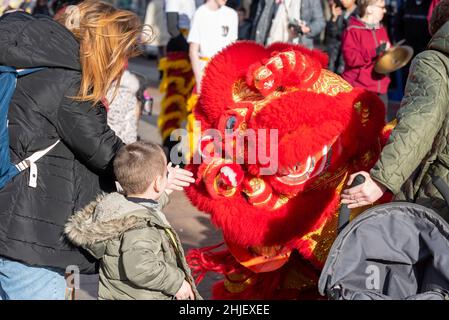 High Street, Southend on Sea, Essex, Regno Unito. 29th Jan 2022. Nell’High Street di Southend si sta celebrando il Capodanno cinese, che quest’anno prossimo è l’anno della tigre. Gli animatori di strada stanno intrattenendo gli acquirenti in costumi tradizionali. Costume da ballo Lion Foto Stock
