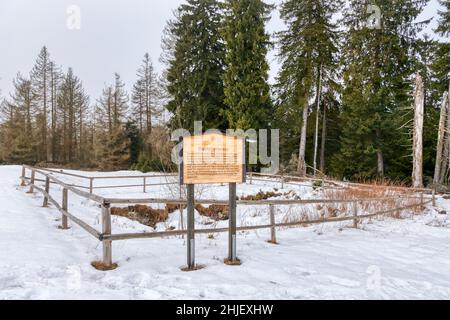 Glashüttenwiese bei Schierke Nationalpark harz Foto Stock