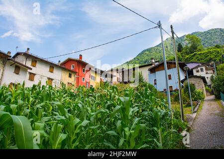 La frazione di Dordolla nel comune di Moggio Udinese in provincia di Udine, Friuli-Venezia Giulia. Un piccolo campo di mais è in primo piano Foto Stock