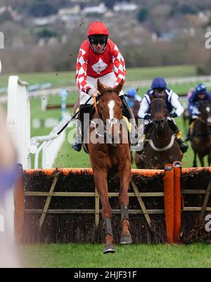 Pied Piper, guidato da Davy Russell, libera una recinzione prima di vincere la JCB Triumph Trial Juvenile Huddle all'ippodromo di Cheltenham. Data foto: Sabato 29 gennaio 2022. Foto Stock