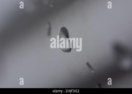 Primo piano in scala di grigi di gocce d'acqua sul vetro Foto Stock