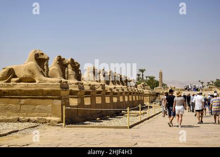 Piccolo vicolo di sfingi con testa di pecora di fronte al Tempio di Karnak. Turisti, gruppo di viaggi tra antiche rovine. Splendido punto di riferimento egiziano. Luxor, Foto Stock