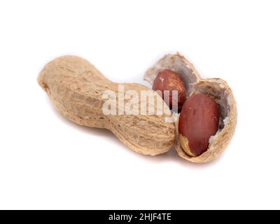 Peanut isolati su sfondo bianco Foto Stock