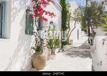 Tradizionale strada greca con fiori nell'isola di Amorgos, in Grecia Foto Stock