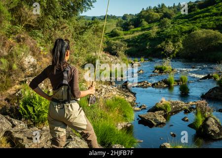 Una donna asiatica del pescatore del mosca le donne che indossano i waders e che tengono un'asta, guardando fuori sopra un fiume roccioso nel sole di sera Foto Stock