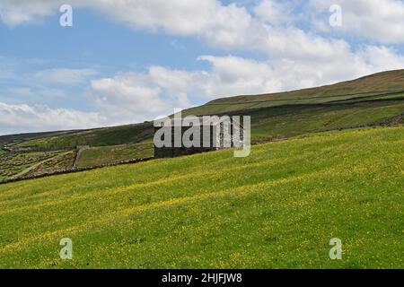 Fienile abbandonato su una collina nella Yorkshire Dales Foto Stock