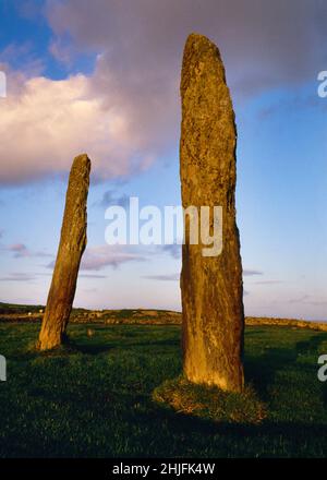 Visualizza NE di Penrhos Feilw pietre in piedi, Anglesey, Galles, Regno Unito, illuminato dal sole del tramonto. Colonne a scisto 3,3m (11ft) a parte e entrambi quasi 3m (10ft) di altezza. Foto Stock