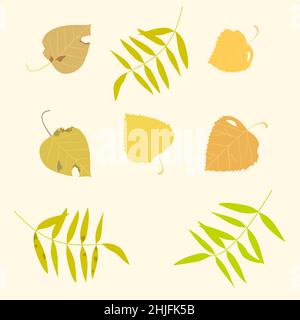 set di foglie di giallo brillante autunno Illustrazione Vettoriale