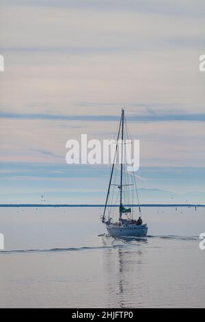 Barca a vela che si trasforma nel braccio sud del fiume Fraser a Steveston, British Columbia, Canada Foto Stock