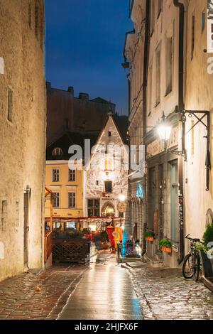 Tallinn, Estonia. Vista su Raekoja Street con antiche case medievali in serata luci notturne. Belle stradine antiche della capitale estone Foto Stock