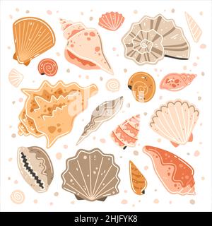 Set di conchiglie multicolore. Collezione di illustrazioni piatte vettoriali Illustrazione Vettoriale