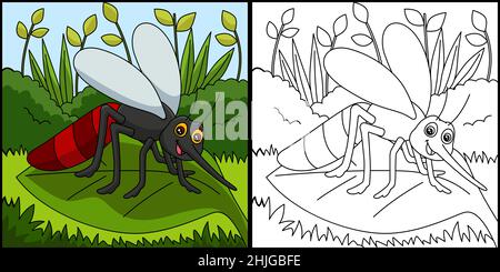 Mosquito Coloring Page Vector Illustration Illustrazione Vettoriale