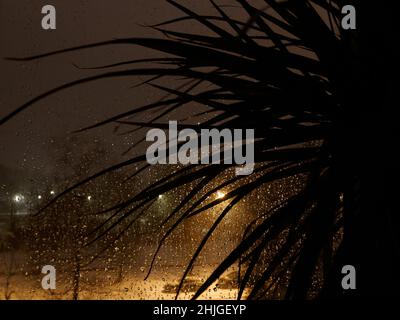 Notte scura, vista attraverso la finestra, subito dopo la tempesta. Le gocce di pioggia brillano. In primo piano foglie di palma. Sensazione e umore. Lanterne nel dis Foto Stock