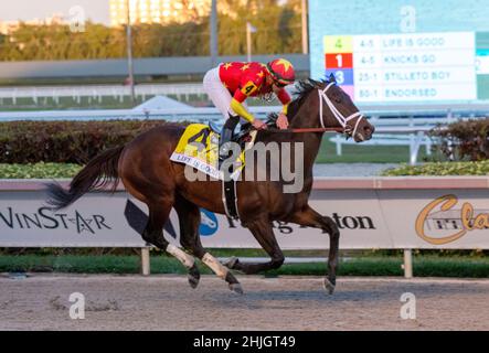 Hallandale Beach, Florida, Stati Uniti. 29th Jan 2022. 29 gennaio 2022: #4 la vita è buona con jockey Irad Ortiz Jr. A bordo vince la Coppa del mondo Pegasus 2022 Invitational il 29 gennaio 2022 al Gulfstream Park di Hallandale Beach, Florida. LizLamont/Eclipse Sportswire/CSM/Alamy Live News Foto Stock