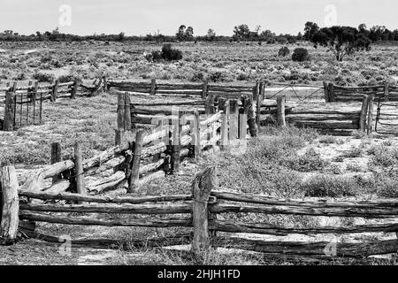 Vecchio cortile di pecora invecchiato del lago Mungo woolshed in aride pianure asciutte dell'entroterra australiano. Foto Stock