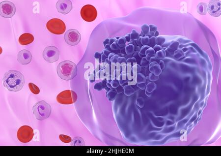 Leucemia mieloide acuta (AML) cellulare nel flusso sanguigno - super closeup vista 3D illustrazione Foto Stock