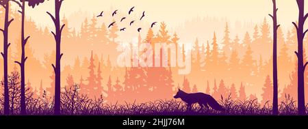 Banner orizzontale. Silhouette di volpe in piedi sul prato in Forrest. Silhouette di animali, alberi, erba. Magico paesaggio nebboso, nebbia. Rosa e arancione Illustrazione Vettoriale