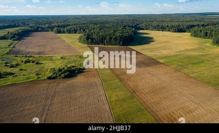 Vista panoramica del trattore in funzione nel campo agricolo su un'azienda agricola estiva la sera. Fotografia aerea, foto con drone dall'alto. Agricolo Foto Stock