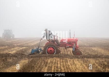 Bandon, Cork, Irlanda. 30th Gennaio 2022. Trevor Fleming di Castlemartyr nel suo 1949 Farfarall Cub partecipa alla partita West Cork Plowing Association sulle terre di Derek & Pauline Lovell, Knockbrown a Bandon, Co. Cork, Irlanda. - - credito; David Creedon / Alamy Live News Foto Stock