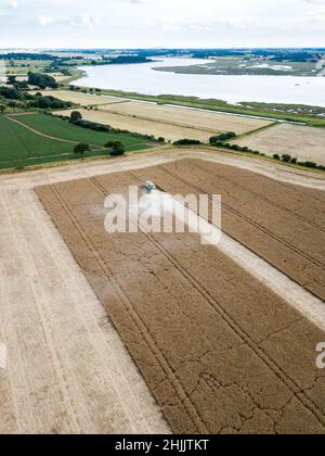 Woodbridge Suffolk UK 29 luglio 2021: Colpo aereo della mietitrebbia che raccoglie cereali a metà stagione estiva. Concetto di agricoltura, raccolta c Foto Stock