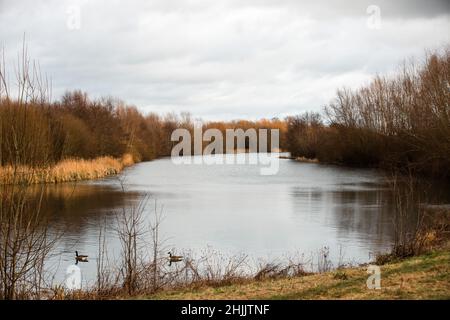 Taplow, Regno Unito. 29th Gennaio 2022. Un tratto tranquillo del fiume Jubilee. Il fiume Jubilee è un canale idraulico del 11,6km costruito tra il 1995-2006 per alleviare le alluvioni nelle aree di Maidenhead, Windsor ed Eton. Credit: Mark Kerrison/Alamy Live News Foto Stock