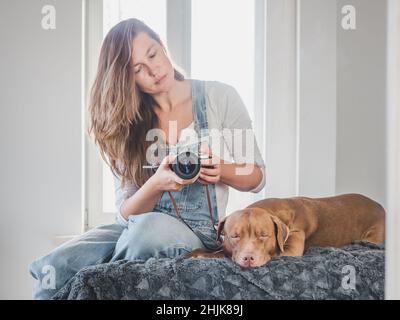 Donna carina e amabile, carino cucciolo di colore marrone Foto Stock