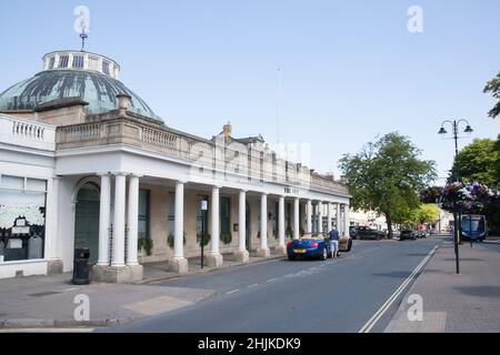 Il ristorante Ivy a Cheltenham, Gloucestershire, nel Regno Unito Foto Stock