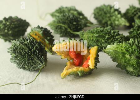 La zucca amara, nota anche come pavakka o karela, è una vite tropicale che appartiene alla famiglia delle zucche dal gusto amaro. Ripresa su sfondo bianco con evidenziazione Foto Stock