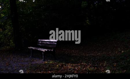 Panchina singola catturata nel parco in luce oscura e scura Foto Stock