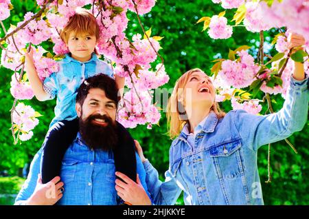 Happy famiglia turistica nel giardino di primavera. Madre, padre e figlio insieme nel parco sakura in fiore. Foto Stock