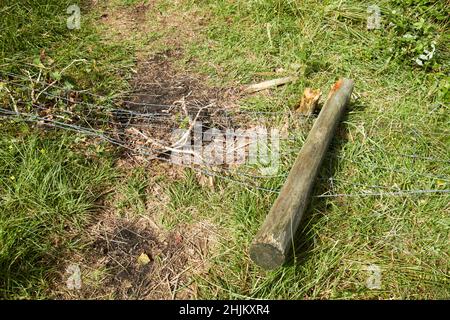 recinzione e recinzione di stock danneggiati da escursionisti nel distretto di rydal lake, cumbria, inghilterra, regno unito Foto Stock