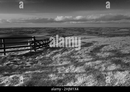 Vista su Cranborne Chase Foto Stock