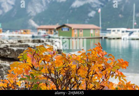 Misty mattina su un lago di montagna con boathouses. Nebbia scena autunnale al mattino nel Parco Nazionale di Banff Foto Stock