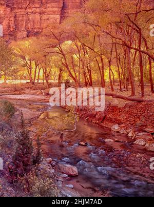 Glorious Zion National Park Landscape, Utah, Stati Uniti Foto Stock