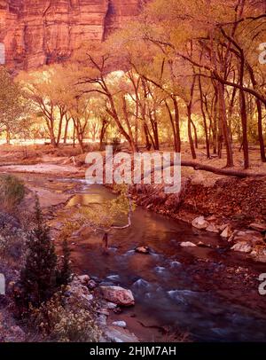 Glorious Zion National Park Landscape, Utah, Stati Uniti Foto Stock