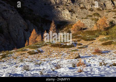 Scena autunnale in alta montagna. Valle del Gauson, Cogne, Valle d'Aosta, Italia Foto Stock