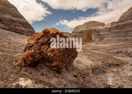 Pezzo di legno di pietra arancione sul Blue Mesa Trail nel Parco Nazionale della Foresta di pietra Foto Stock