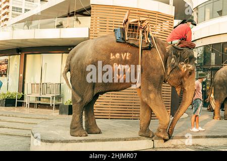 Elefante durante la Parata di Natale 2021 a Pattaya, Thailandia Foto Stock