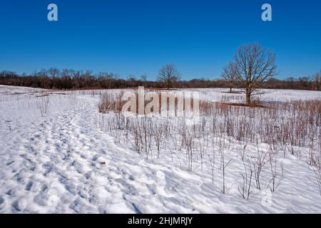 Snowy Path in a Frozen Prairie in Crabtree Nature Preserve in Illinois Foto Stock
