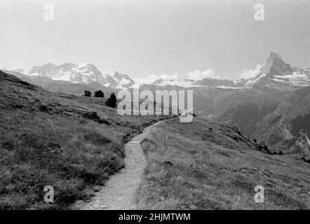 Fotografia in bianco e nero di un sentiero e delle montagne Monte Rosa e Cervino, Zermatt, Alpi svizzere, Svizzera, Europa, 2009. Foto Stock