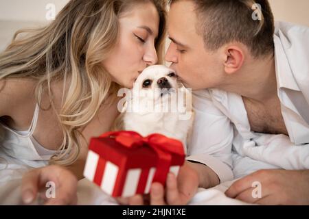 i proprietari di animali domestici del cane si trovano sul letto, baciano il chihuahua e danno una scatola con un regalo. concetto di compleanno del pet Foto Stock