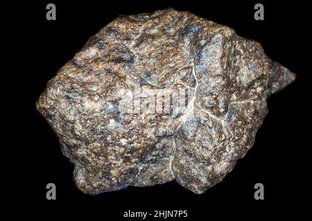 Pietra meteorite condrite isolata su sfondo nero. Pezzo di roccia formato durante la creazione del sistema solare. Foto Stock