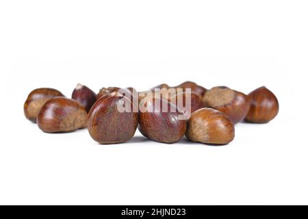 Castagne dolci intere crude su sfondo bianco Foto Stock