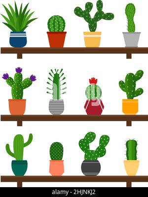 Raccolta di cactus in pentole su scaffale, illustrazione vettoriale Illustrazione Vettoriale