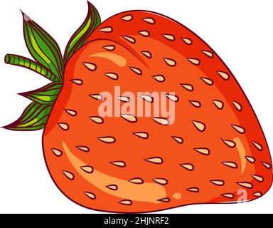 Fragola intera su bianco Illustrazione Vettoriale