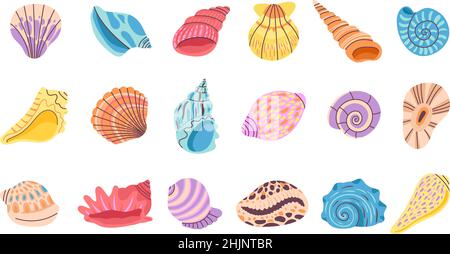 Seashell. Conchiglie isolate, ostriche e vonghiame. Decorazione spiaggia mare elementi oceano. Cartoon estate marine oggetti, stagionale decent vettore set Illustrazione Vettoriale