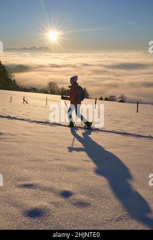 Donna anziana, escursioni sno al tramonto nella zona di Bregenzer Wald di Vorarlberg, Austria con vista spettacolare sul Monte Saentis su sa mare di nebbia, Svizzera Foto Stock