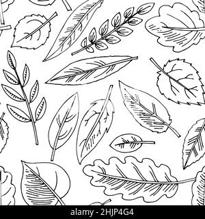 Foglia di albero. Disegno a mano del contorno. Schizzo isolato su sfondo bianco. Vettore Illustrazione Vettoriale