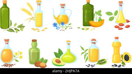 Bottiglie di semi oleosi. Oli per la cottura di verdure con semi piante frumento oliva girasole senape di sesamo, arachidi noci, grassi alimentari agricoli, illustrazione vettoriale. Bottiglia di olio da cucina, girasole o oliva Illustrazione Vettoriale