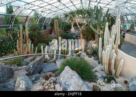 Inverness Botanic Gardens Cactus House, Inverness, Scozia Foto Stock